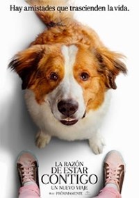 La Razon De Estar Contigo Un Nuevo Viaje Poster de:1 La Razon De Estar Contigo Un Nuevo Viaje